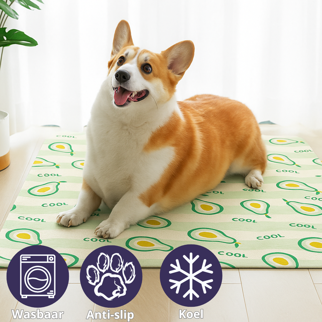 Honden Koelmat - Verkoelend met Vrolijke Fruitprint