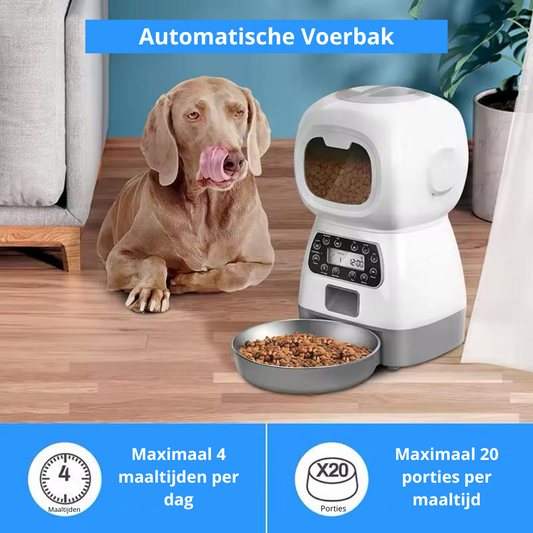 Voerbak Automatisch – Slim, Gezond & Praktisch