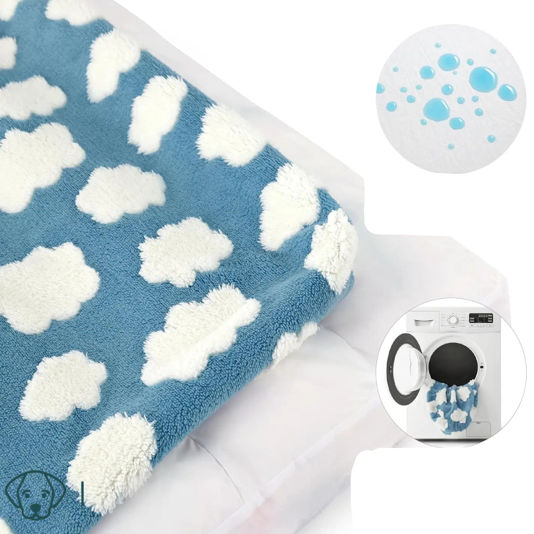 Modernes Hundebett mit Wolkendruck – weich, stützend und waschbar