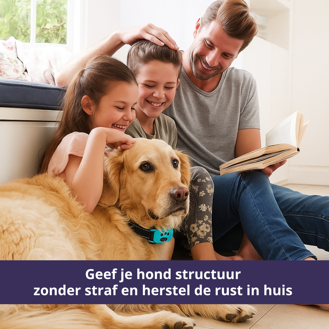 Anti-Bell-Halsband für Hunde – Effektive Bellkorrektur