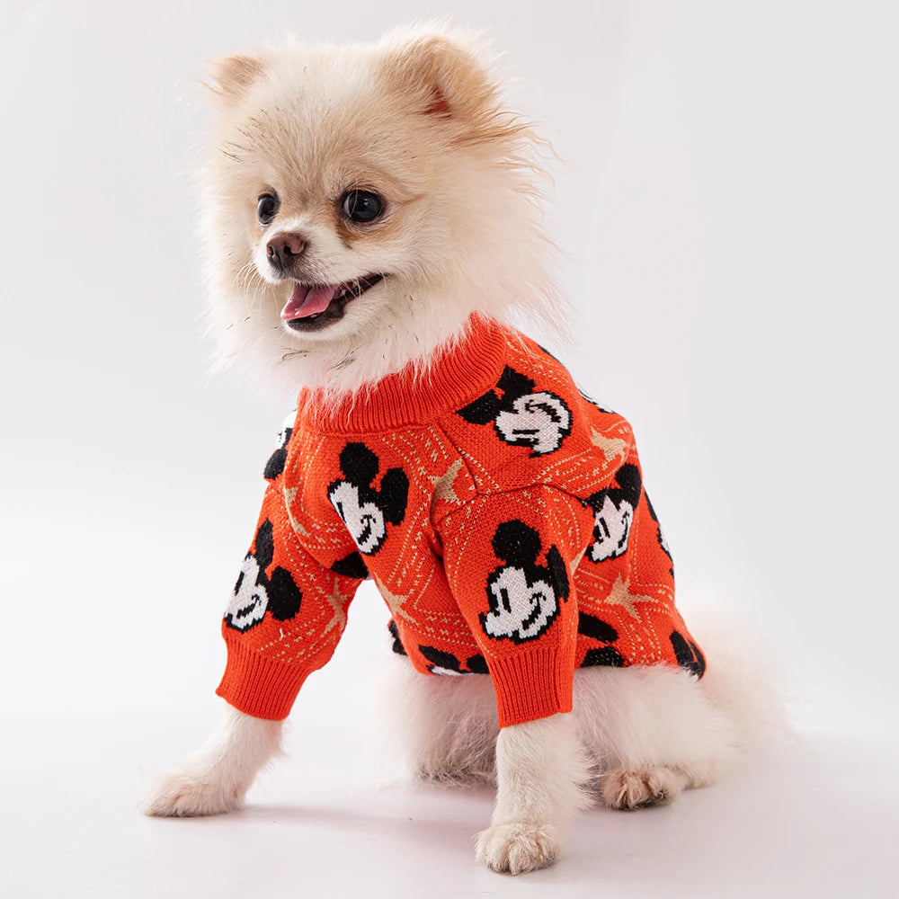 Mickey Mouse Trui