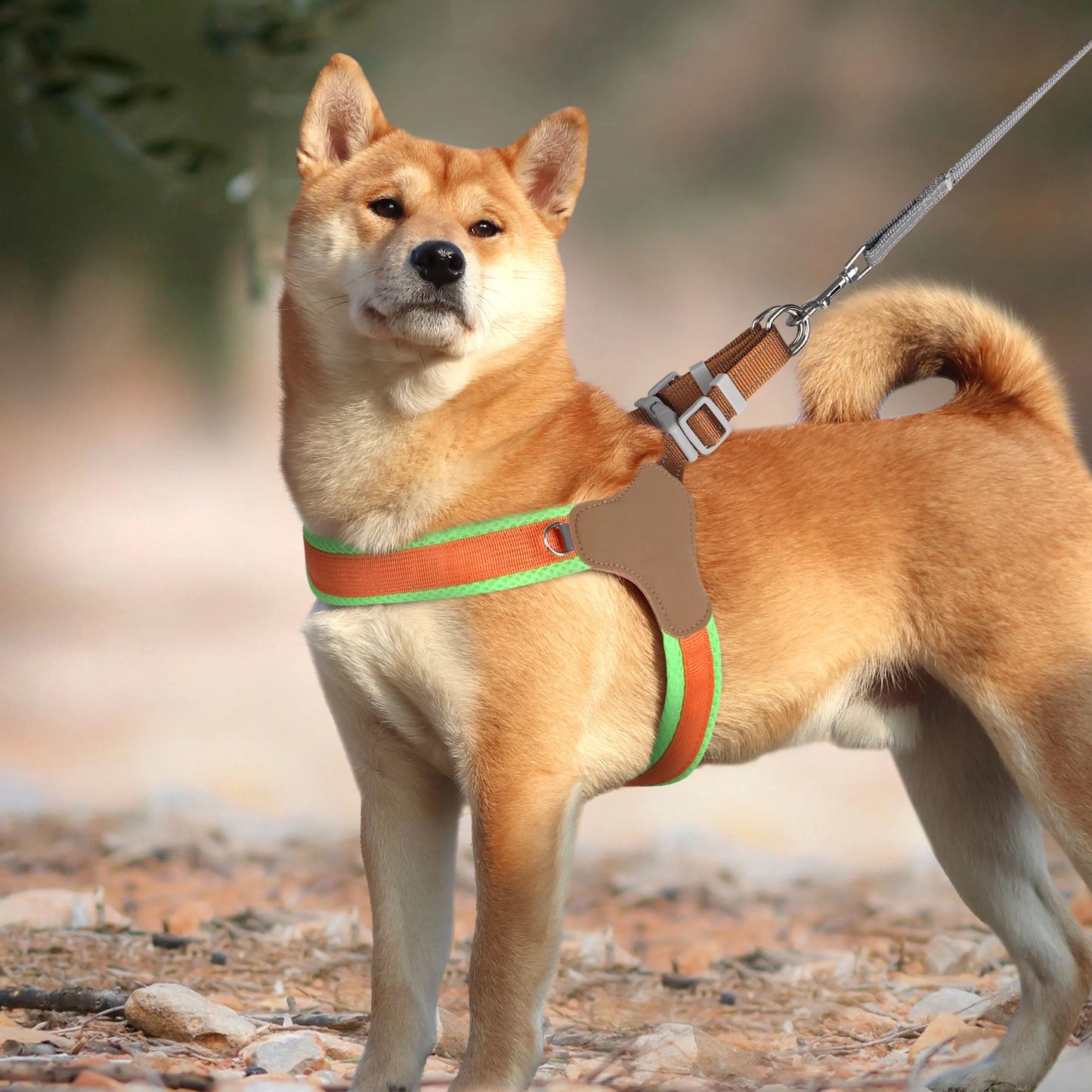Reflektierendes, verstellbares Hundegeschirr – leuchtende Farben für zusätzliche Sichtbarkeit
