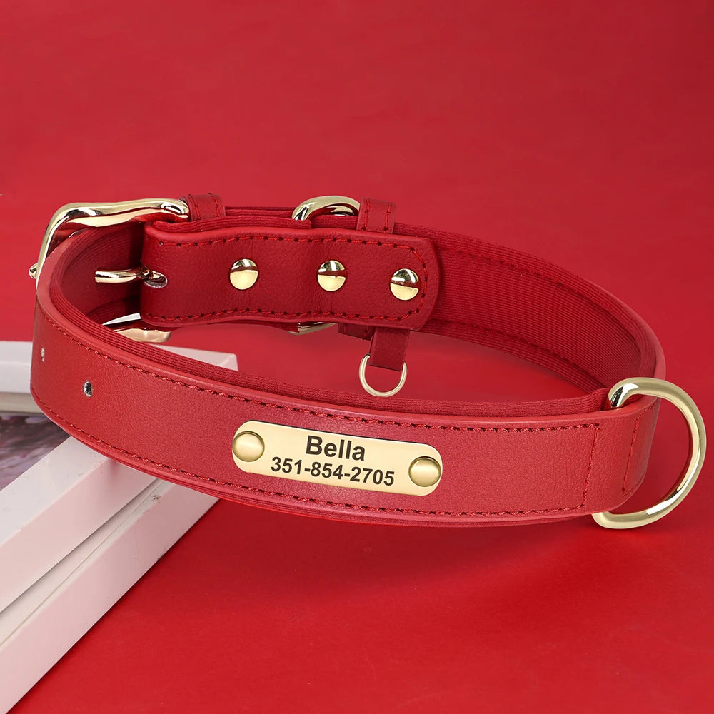 Personalisiertes Lederhalsband – Weich gepolstert für zusätzlichen Komfort