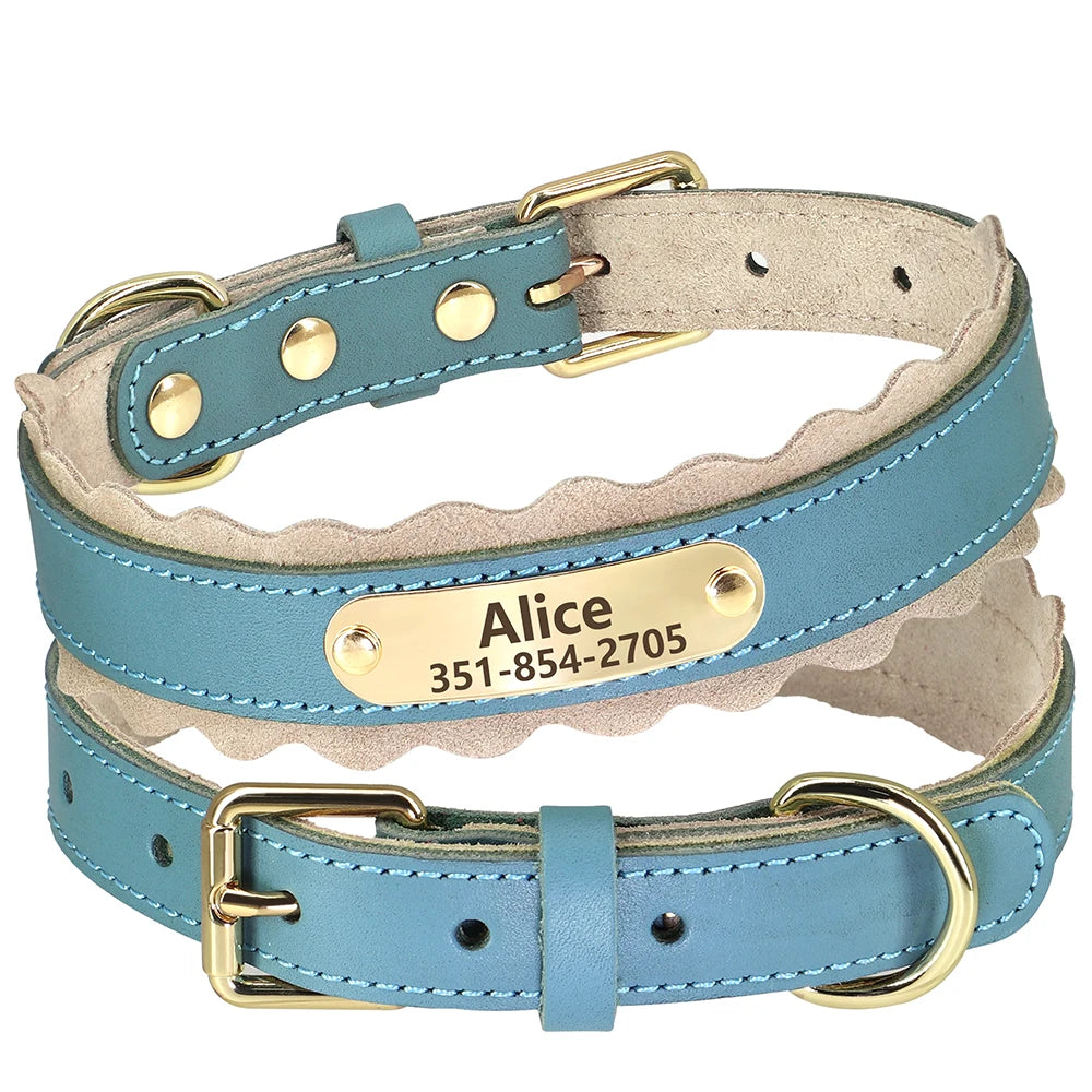 Personalisiertes Halsband – Weich gepolstert mit stylischem Rippenrand