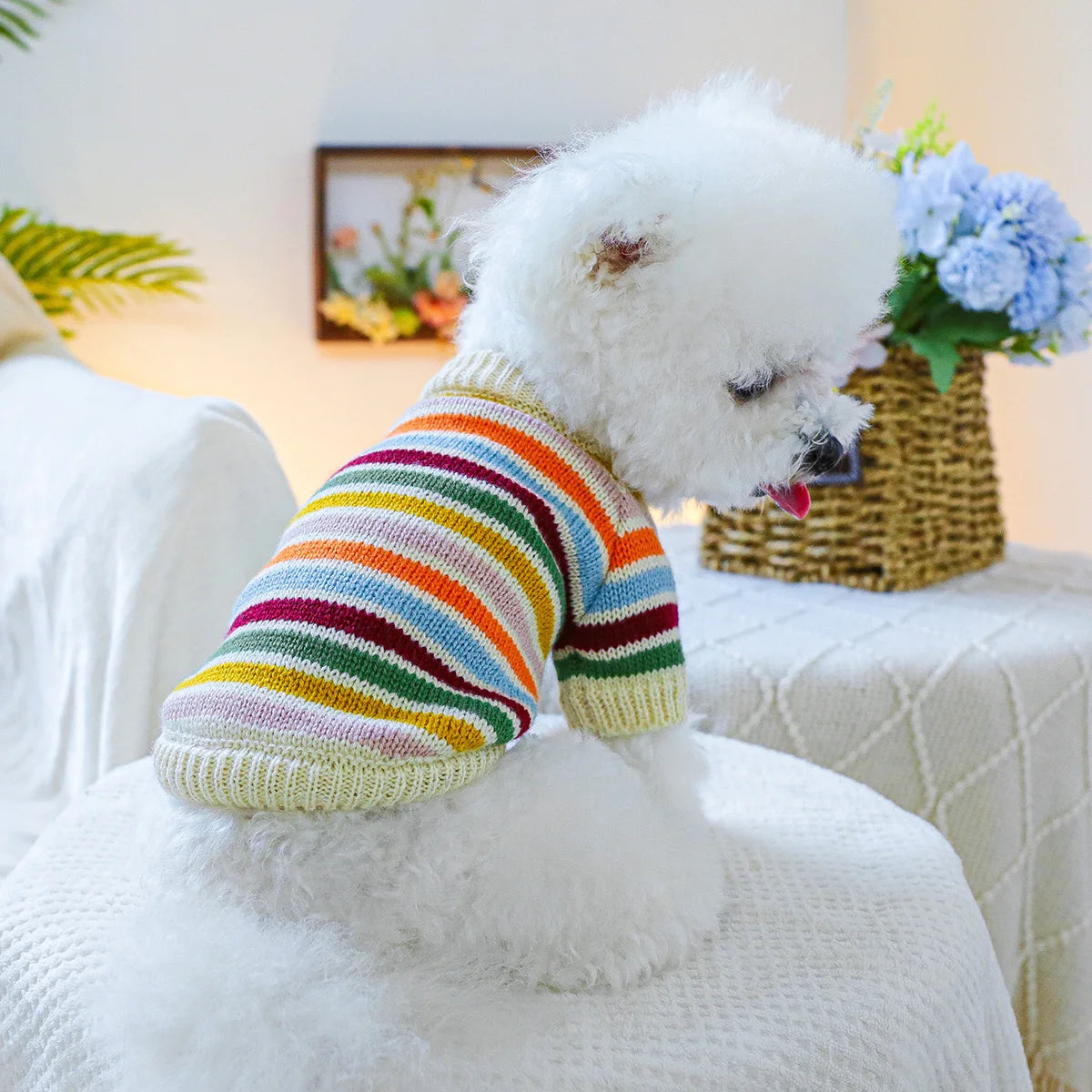 Regenboog Trui