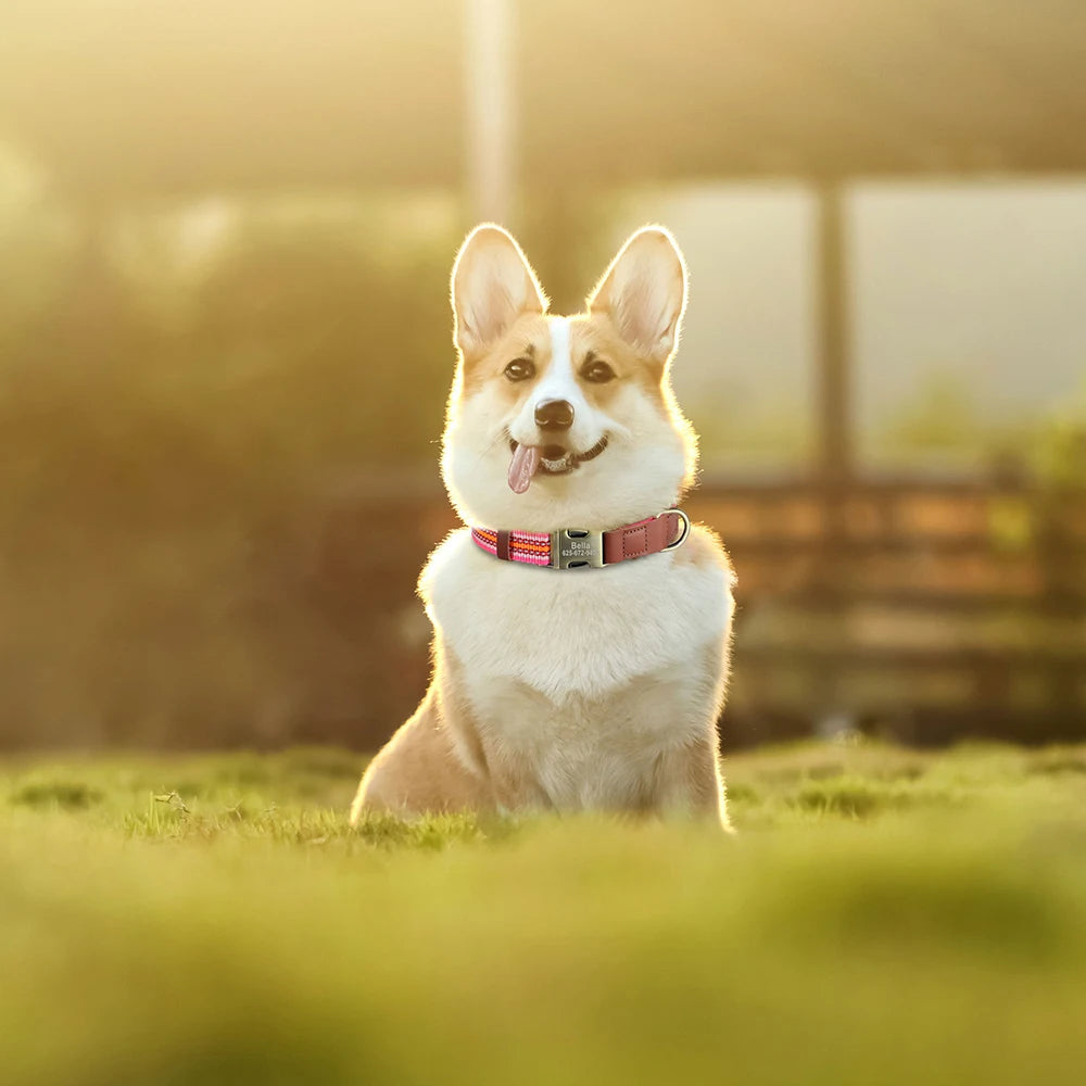 Hond Halsband Nylon Reflecterend – Gepersonaliseerde en Verstelbare Hondenhalsband met Naam