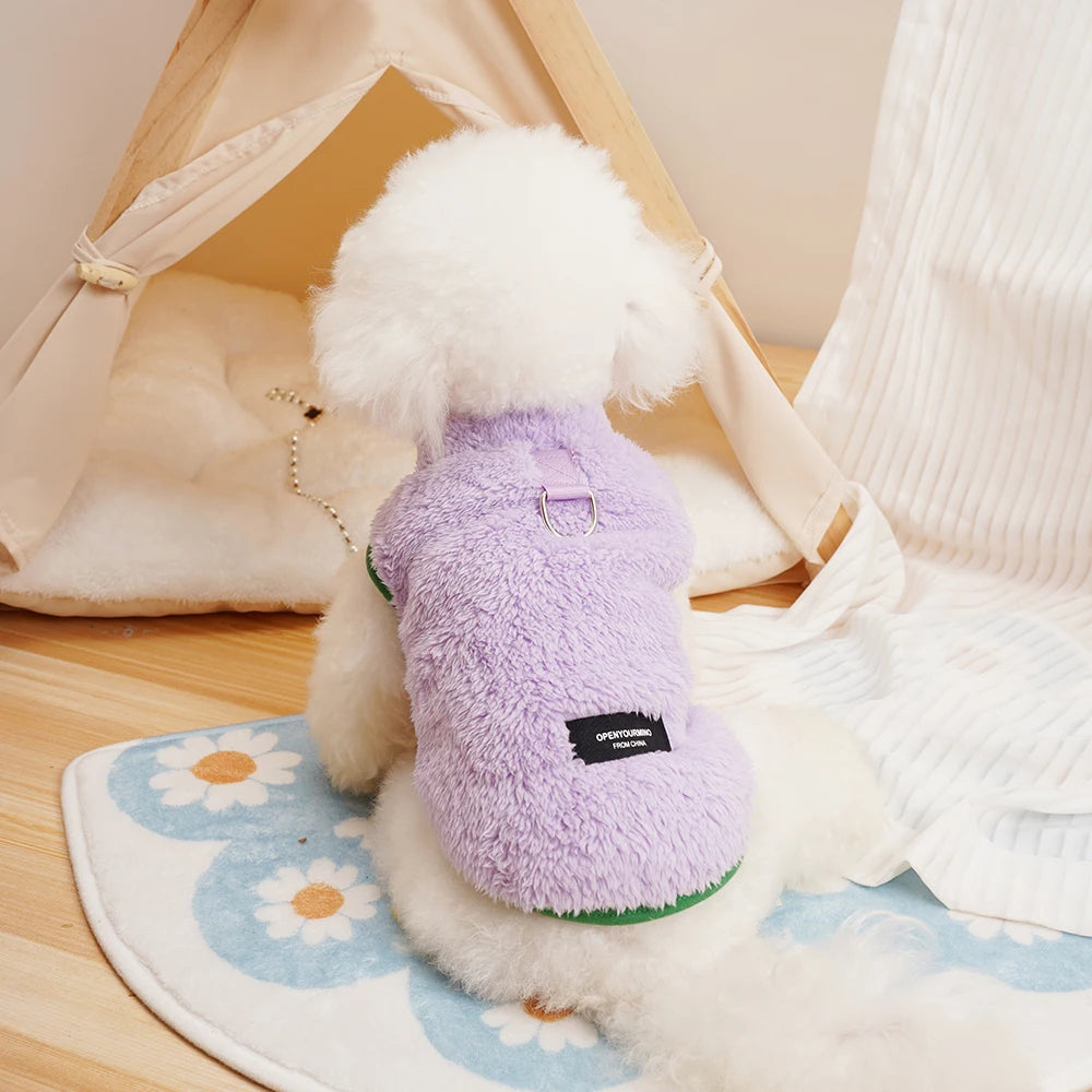 Teddy Fleece