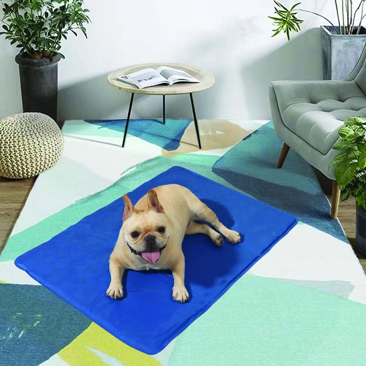Honden Koelmat – Gelgevuld en Waterdicht Hondenbed voor Verkoeling