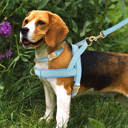 Honden Tuig & Lijn Set Gepersonaliseerd - Comfortabel & Verstelbaar