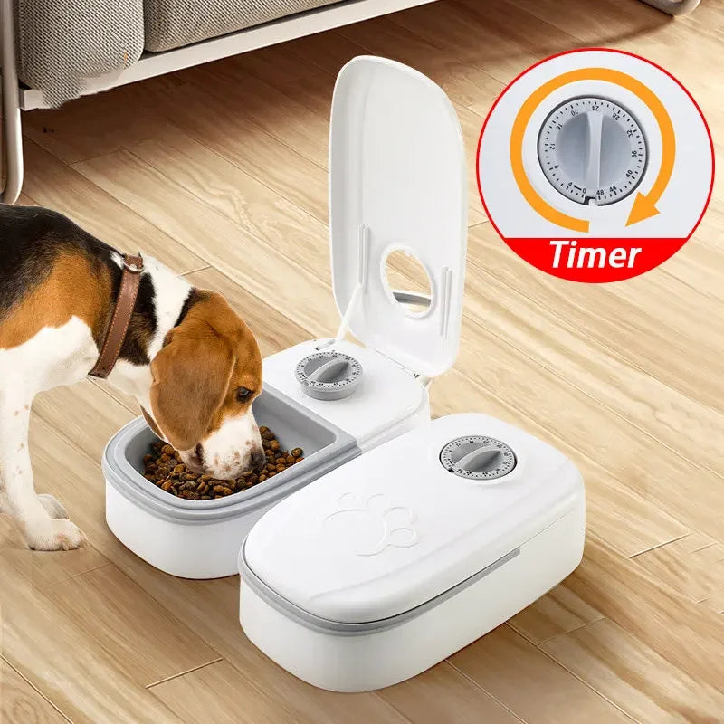 Voerbak met Timer – Altijd Op Tijd Voeding voor je Hond
