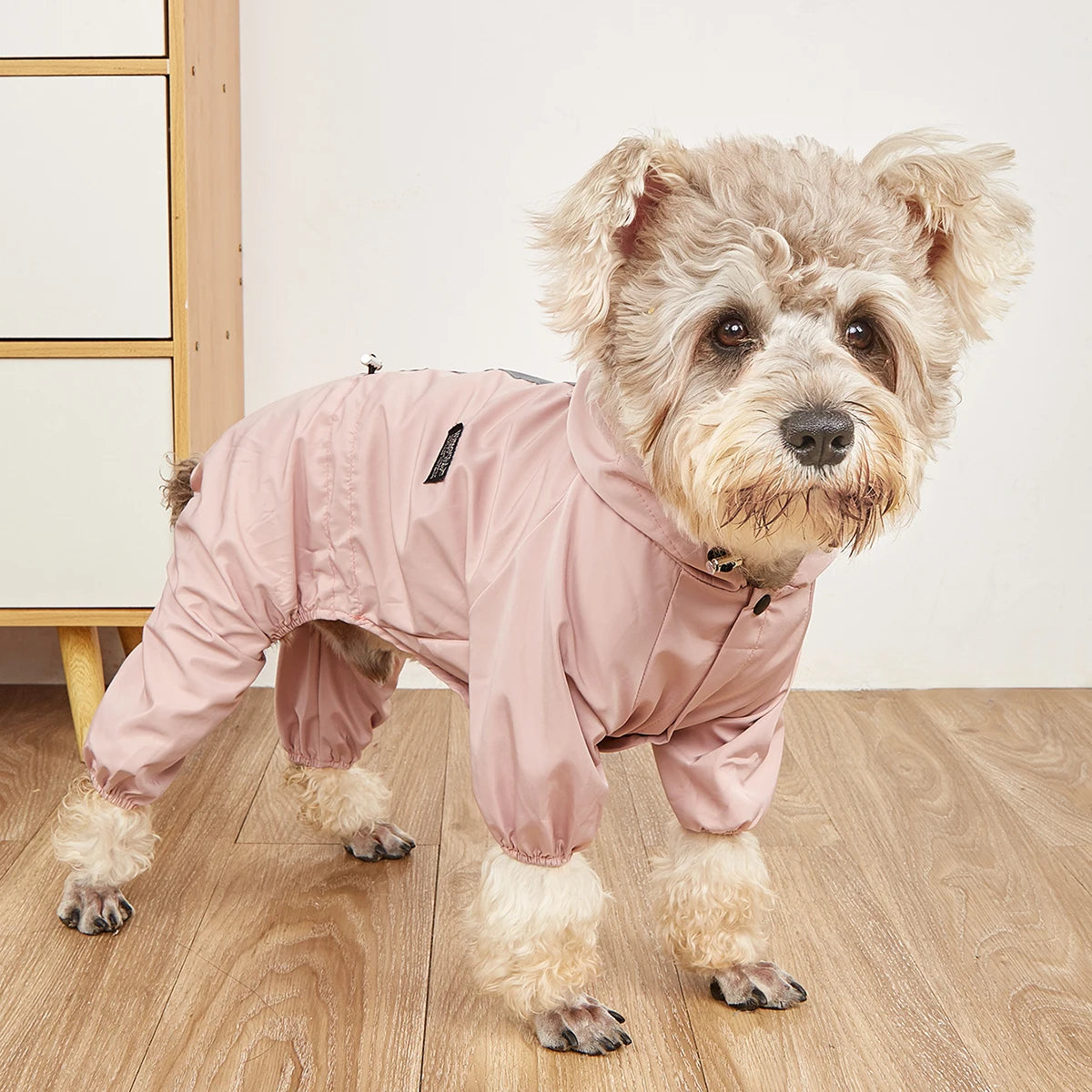 Hondenjas Waterdicht – Bescherming & Comfort
