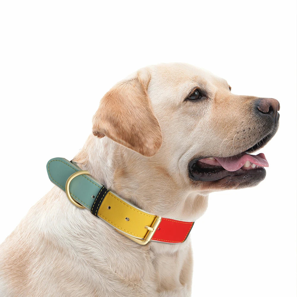 Hond Halsband Kleurrijk – Leren, Verstelbare en Gepersonaliseerde Hondenhalsband met Naam