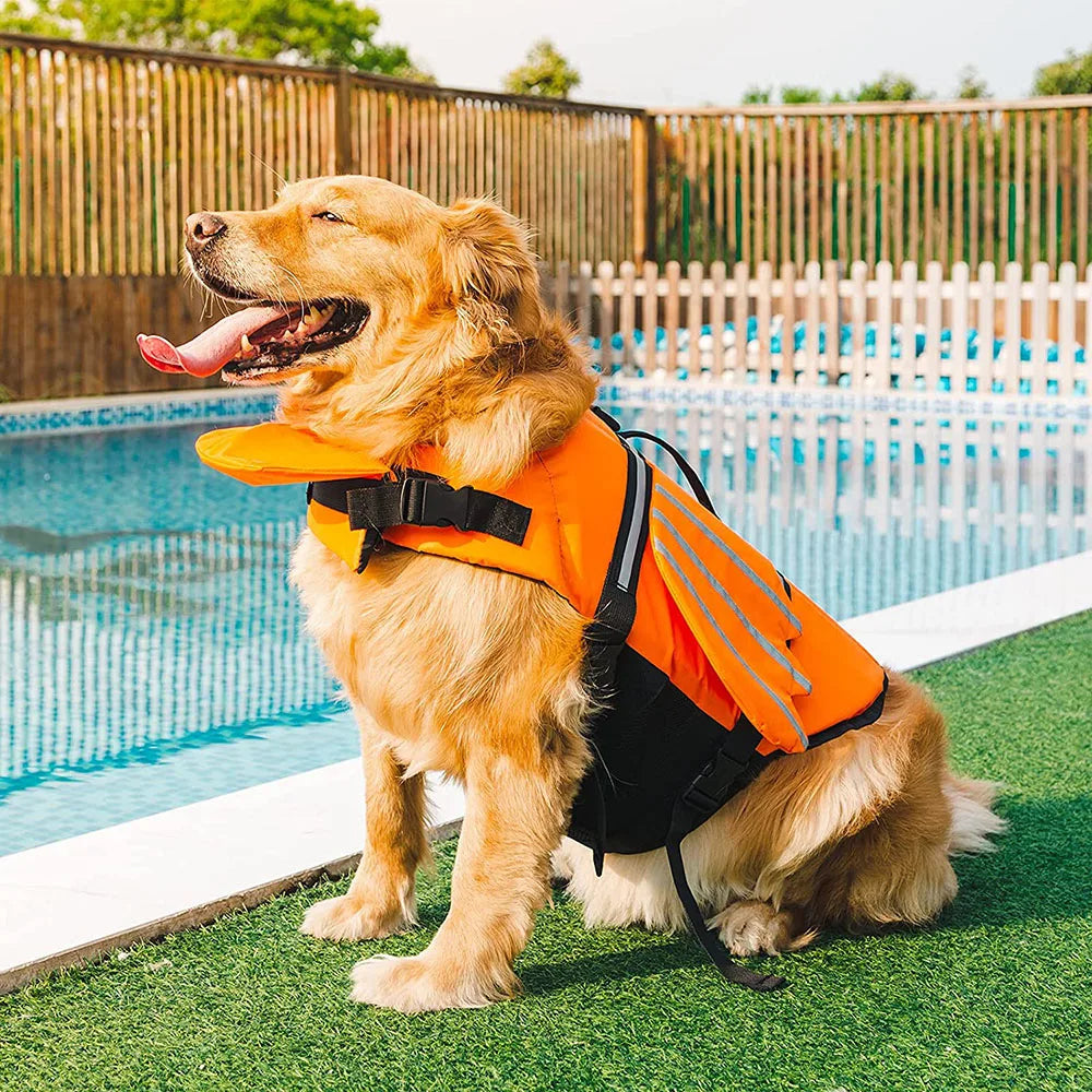 Hond Reddingsvest met Vleugels – Veiligheid en Comfort voor je Hond