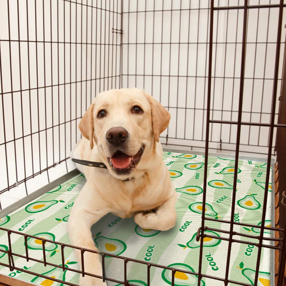 Honden Koelmat - Verkoelend met Vrolijke Fruitprint