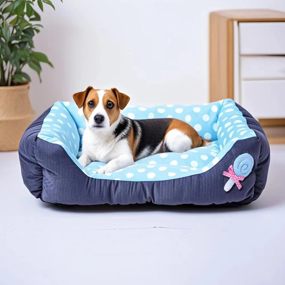 Hondenbed Snoepkleurig – Zacht, Wasbaar & Comfortabel Hondenkussen