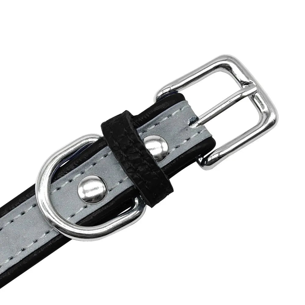 Reflecterende Halsband – Veilig & Gepersonaliseerd