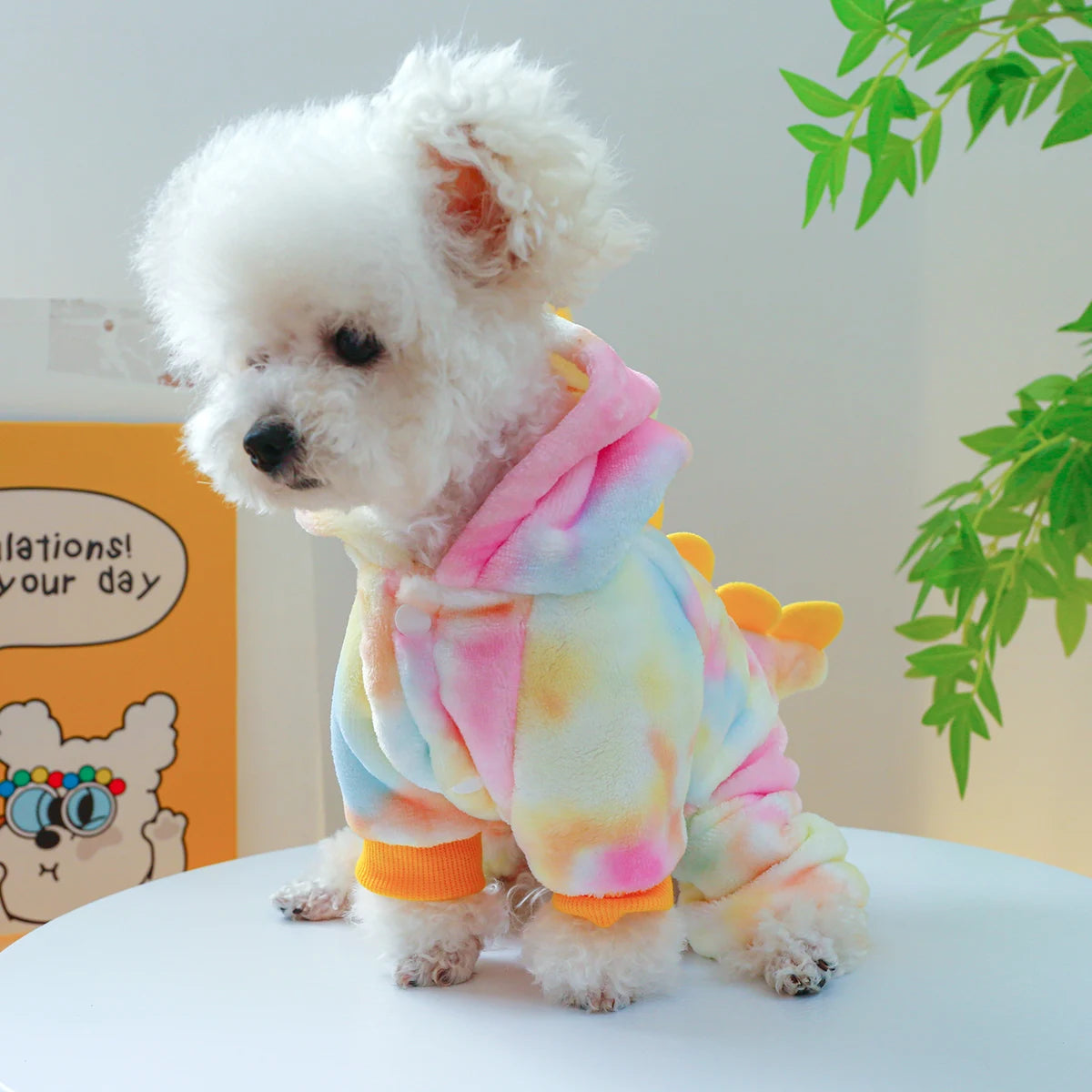 Kleurrijke Dinosaurus Jumpsuit
