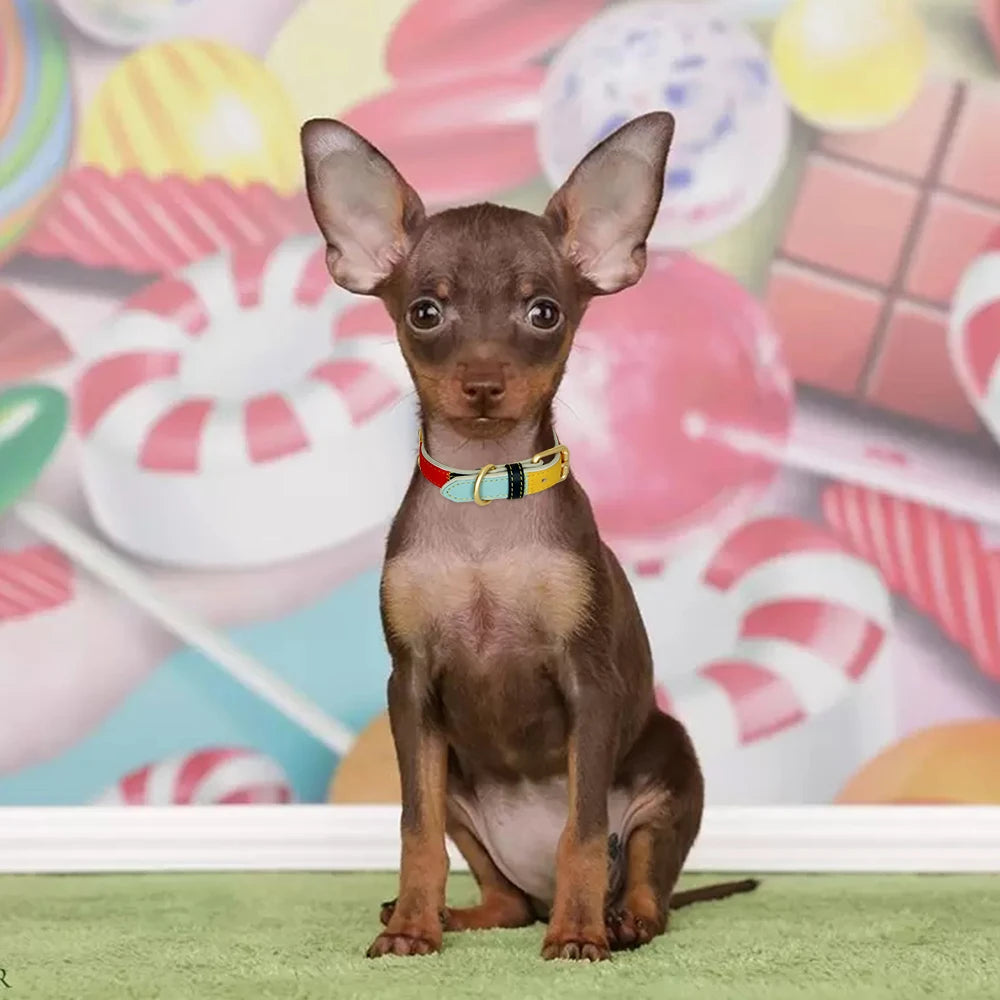 Hond Halsband Kleurrijk – Leren, Verstelbare en Gepersonaliseerde Hondenhalsband met Naam