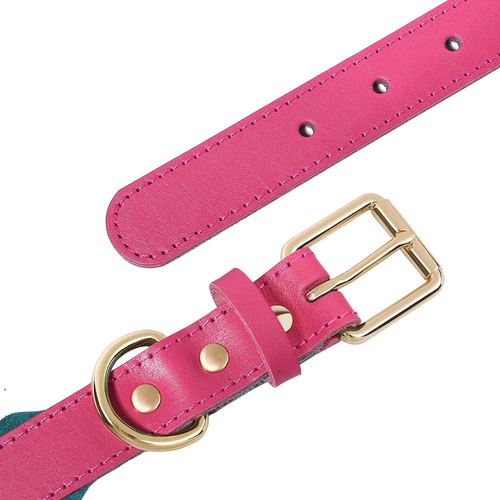 Personalisiertes Halsband – Weich gepolstert mit stylischem Rippenrand