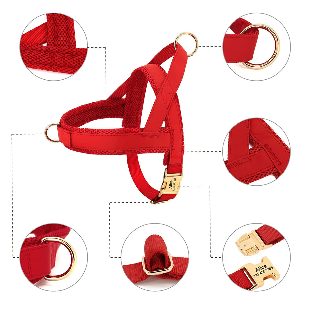 Honden Tuig & Lijn Set Gepersonaliseerd - Comfortabel & Verstelbaar