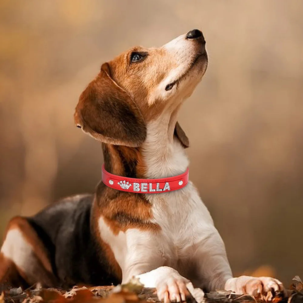 Hond Halsband Zilver Gepersonaliseerd – Hondenhalsband met Naamletters, Charms en Glinsterende Details
