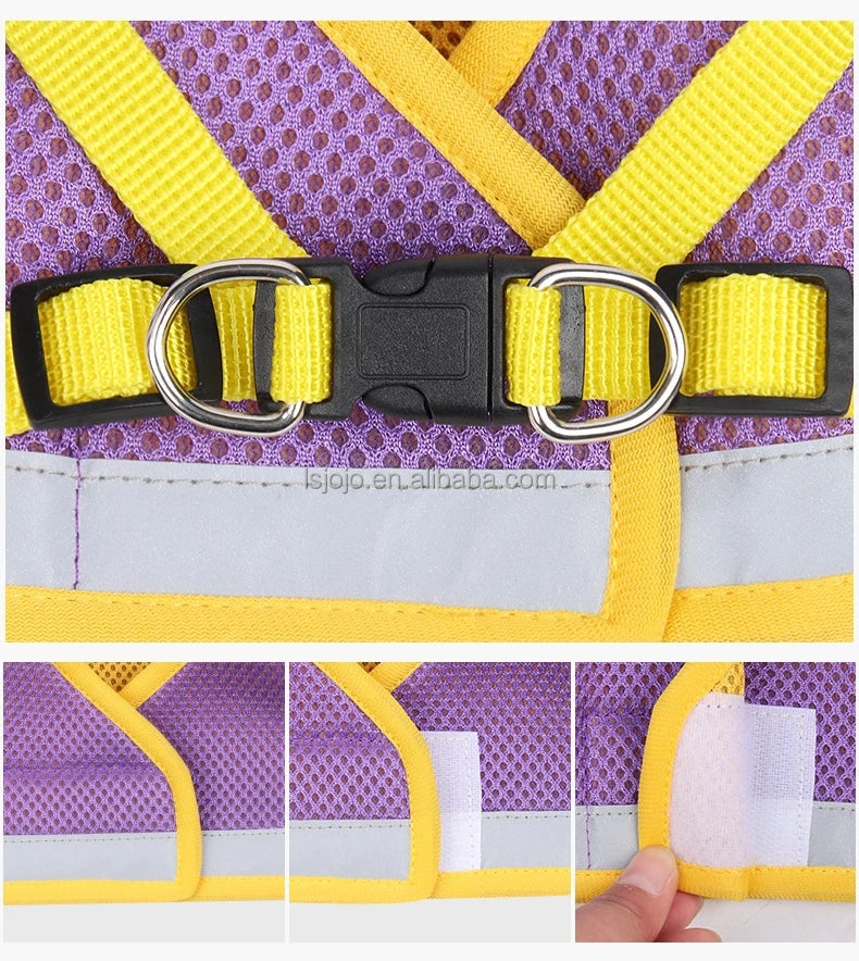 Hondentuig Kleurrijk – Comfort & Stijl