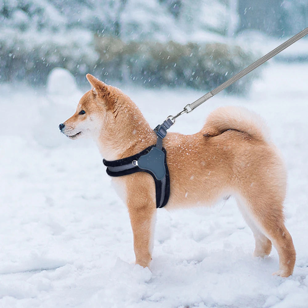 Teddy Comfort Hundegeschirr – Weich und verstellbar