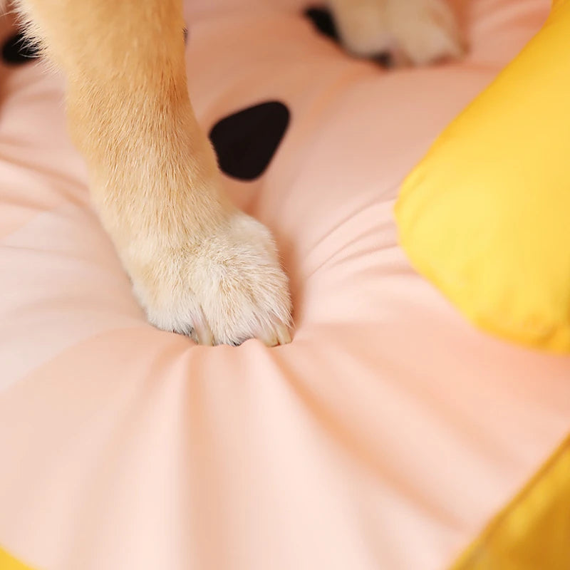 Koelmat in IJsvorm – Verfrissend Comfort voor je Hond of Kat