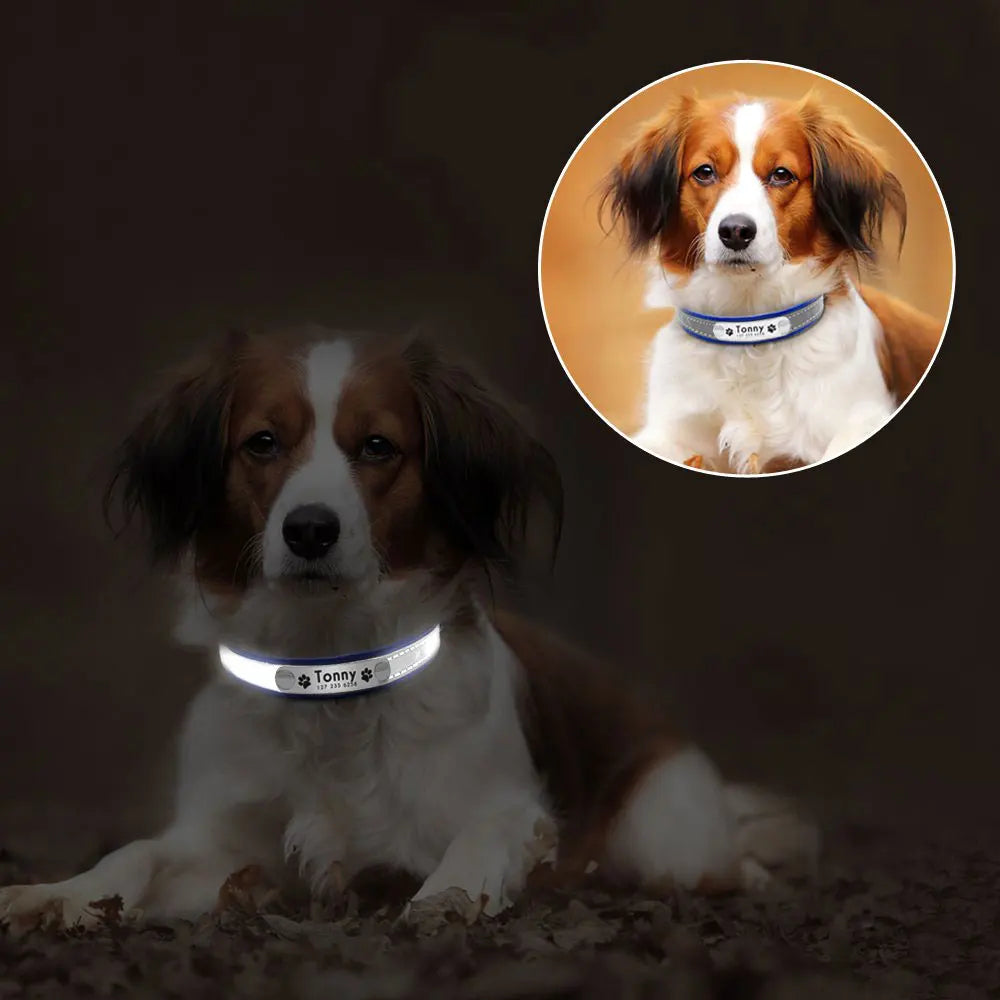 Reflecterende Halsband – Veilig & Gepersonaliseerd