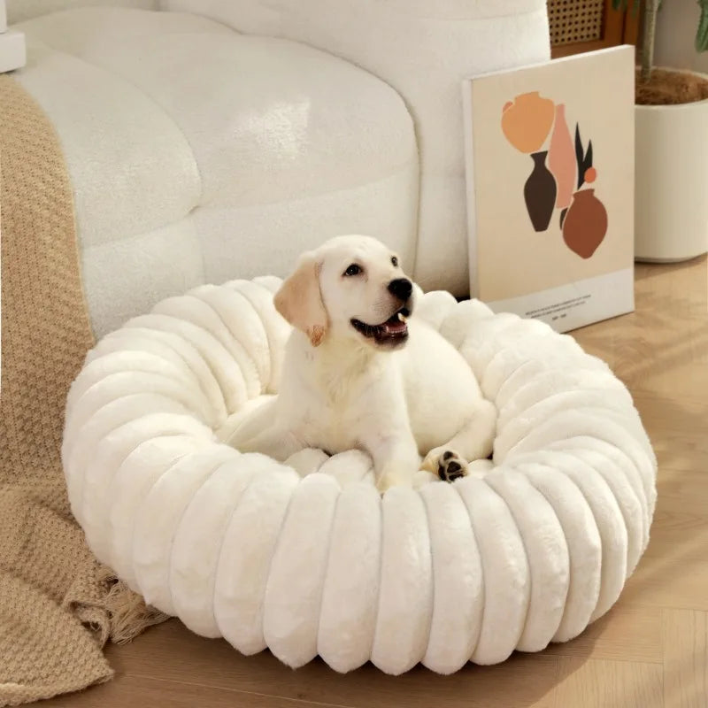 Hondenmand Luxe β Comfortabel en Stijlvol voor Je Hond