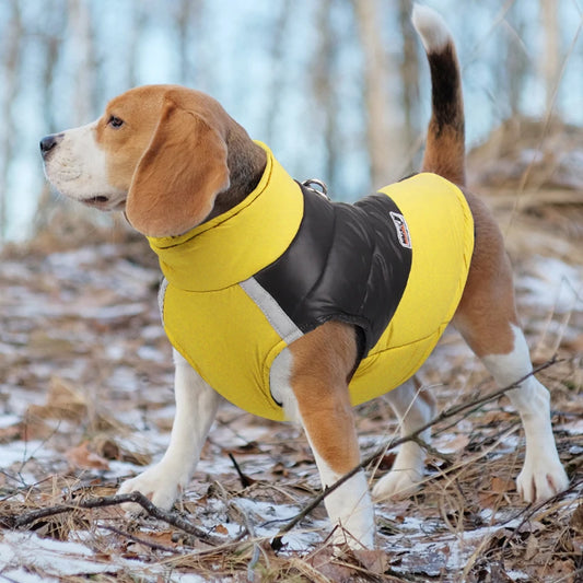 Honden Regenjas Reflecterend – Veilig & Warm