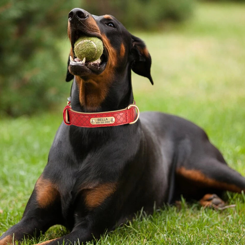 Hippe Gepersonaliseerde Halsband – Stijlvolle Identificatie voor Jouw Hond