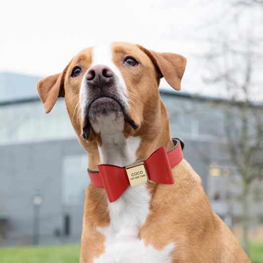 Gepersonaliseerde Halsband met Strik – Stijlvolle en Veilige Keuze voor Jouw Hond