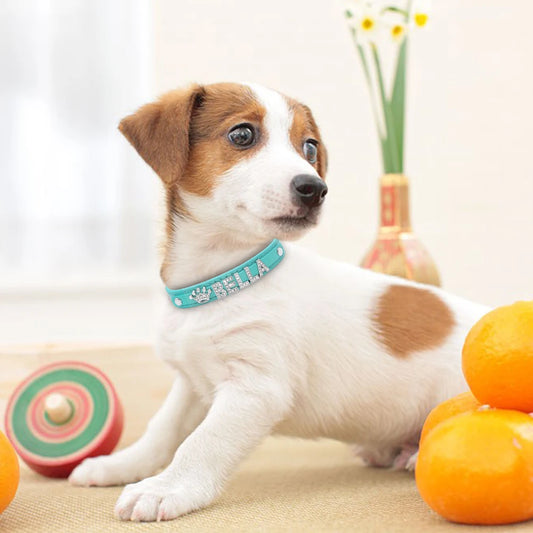 Hond Halsband Zilver Gepersonaliseerd – Hondenhalsband met Naamletters, Charms en Glinsterende Details