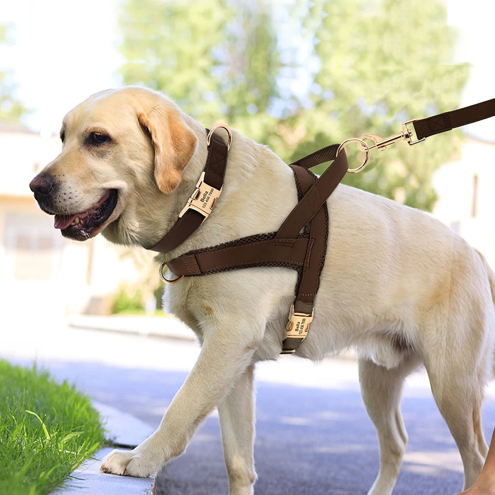 Honden Tuig & Lijn Set Gepersonaliseerd - Comfortabel & Verstelbaar