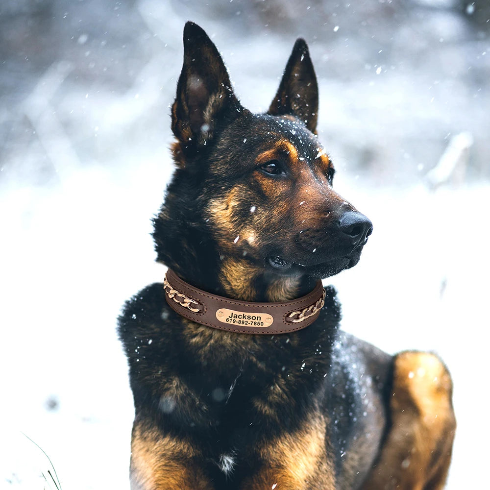 Hondenhalsband Gepersonaliseerd Goud - Stijlvol & Uniek