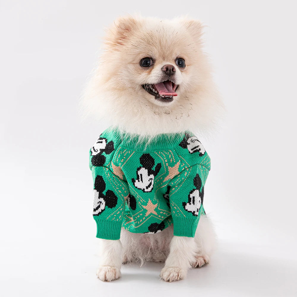 Mickey Mouse Trui