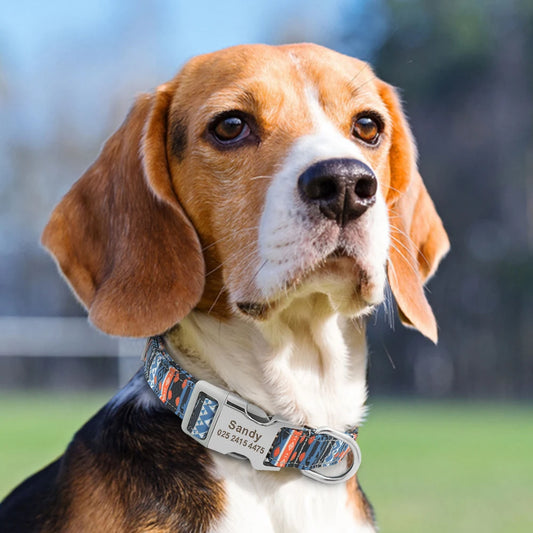 Hond Halsband Gepersonaliseerd Nylon – Verstelbare en Reflecterende Hondenhalsband met Naam