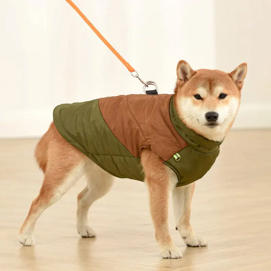 Hondenjas – Warm en Stijlvol voor Jouw Hond