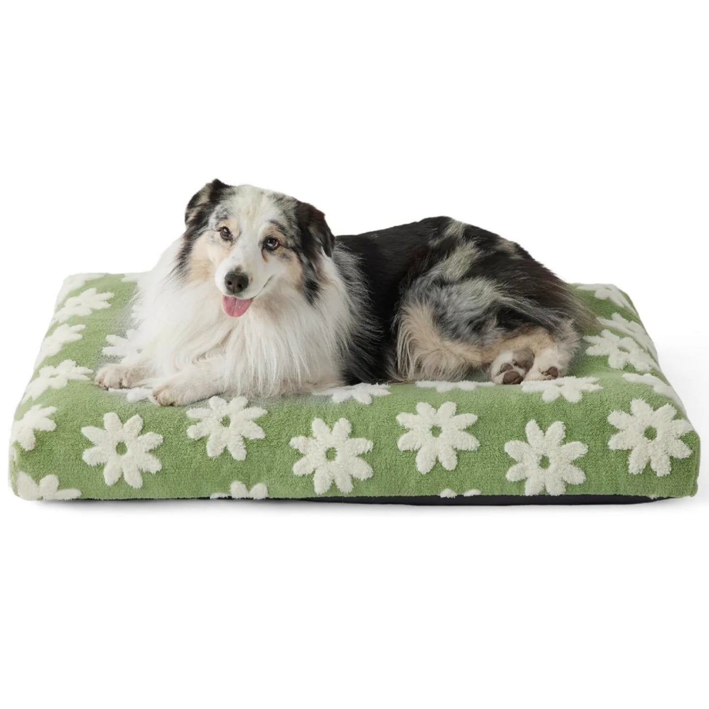 Modernes Hundebett mit Wolkendruck – weich, stützend und waschbar