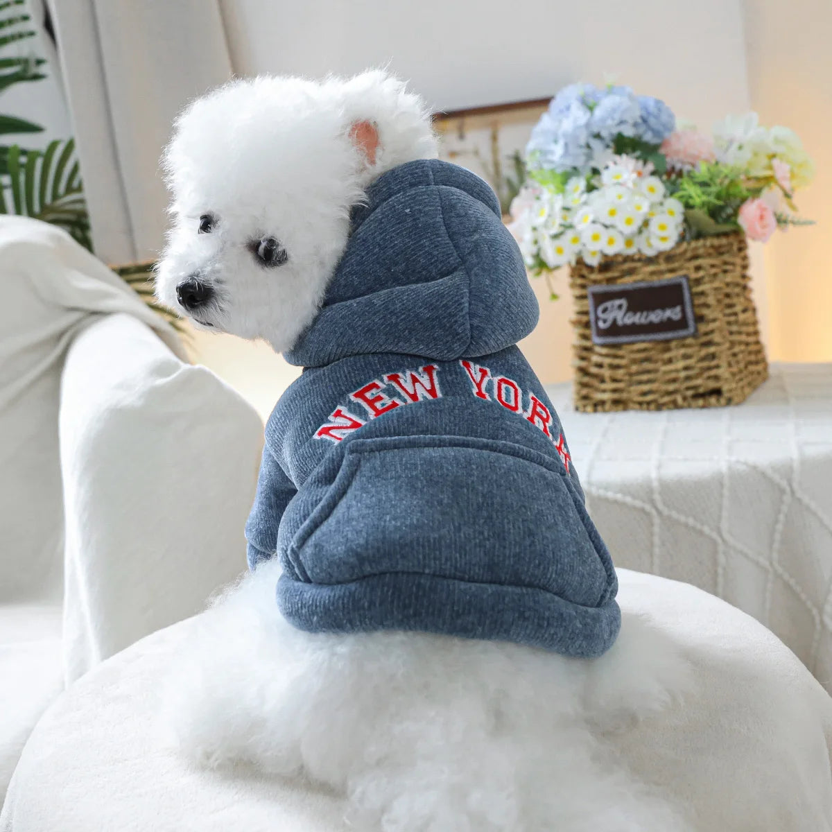 New York Hoodie