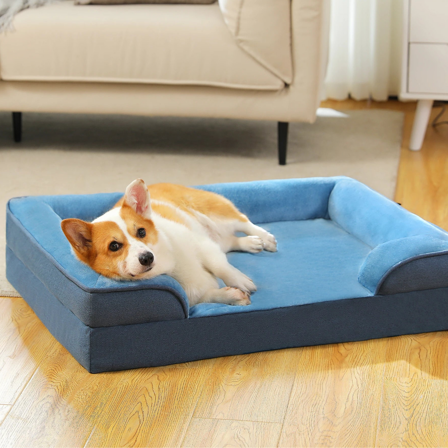 Luxus-Hundebett – Komfort, Halt und Stil in einem