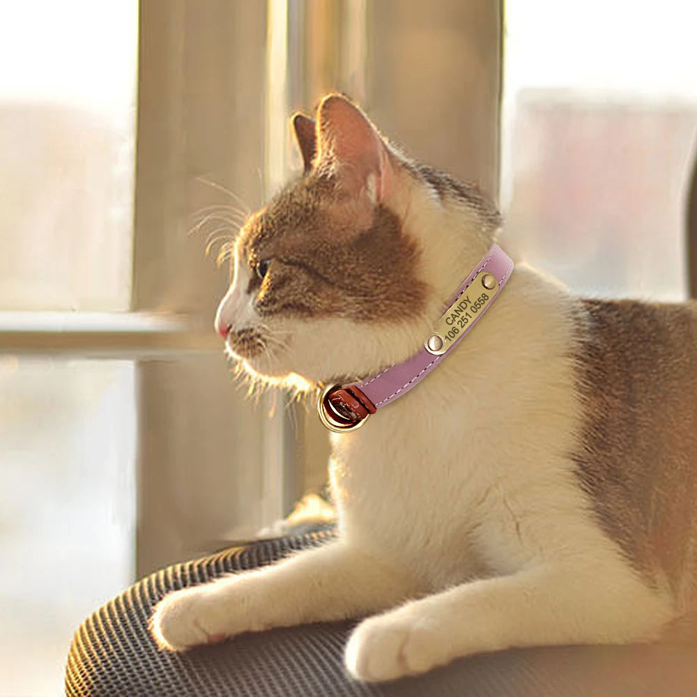 Speciale Reflecterende Halsband – Veiligheid en Stijl voor Jouw Hond