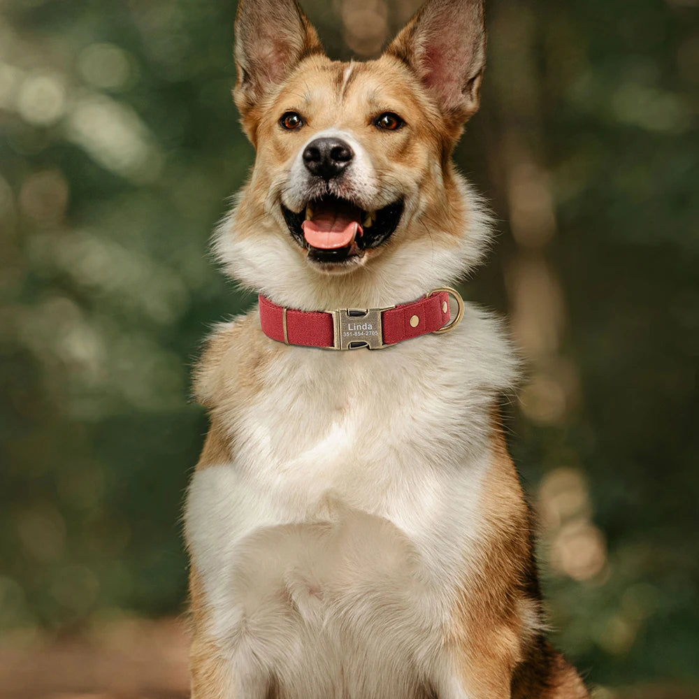 Nylon Gepersonaliseerde Halsband – Uniek en Stijlvol voor je Hond