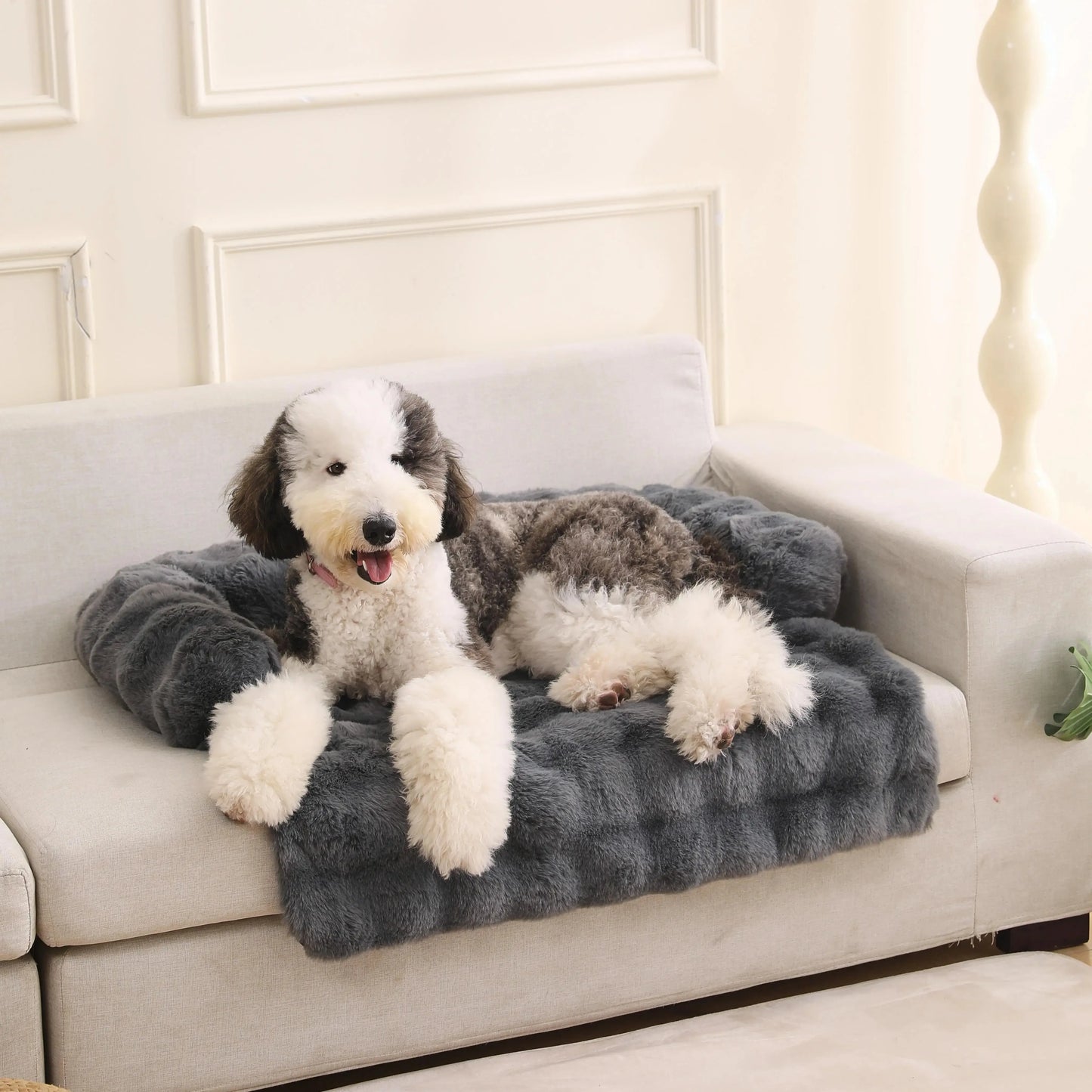 Beruhigendes, weiches Couchschutz-Hundebett – Wärme und Komfort für Ihren Hund