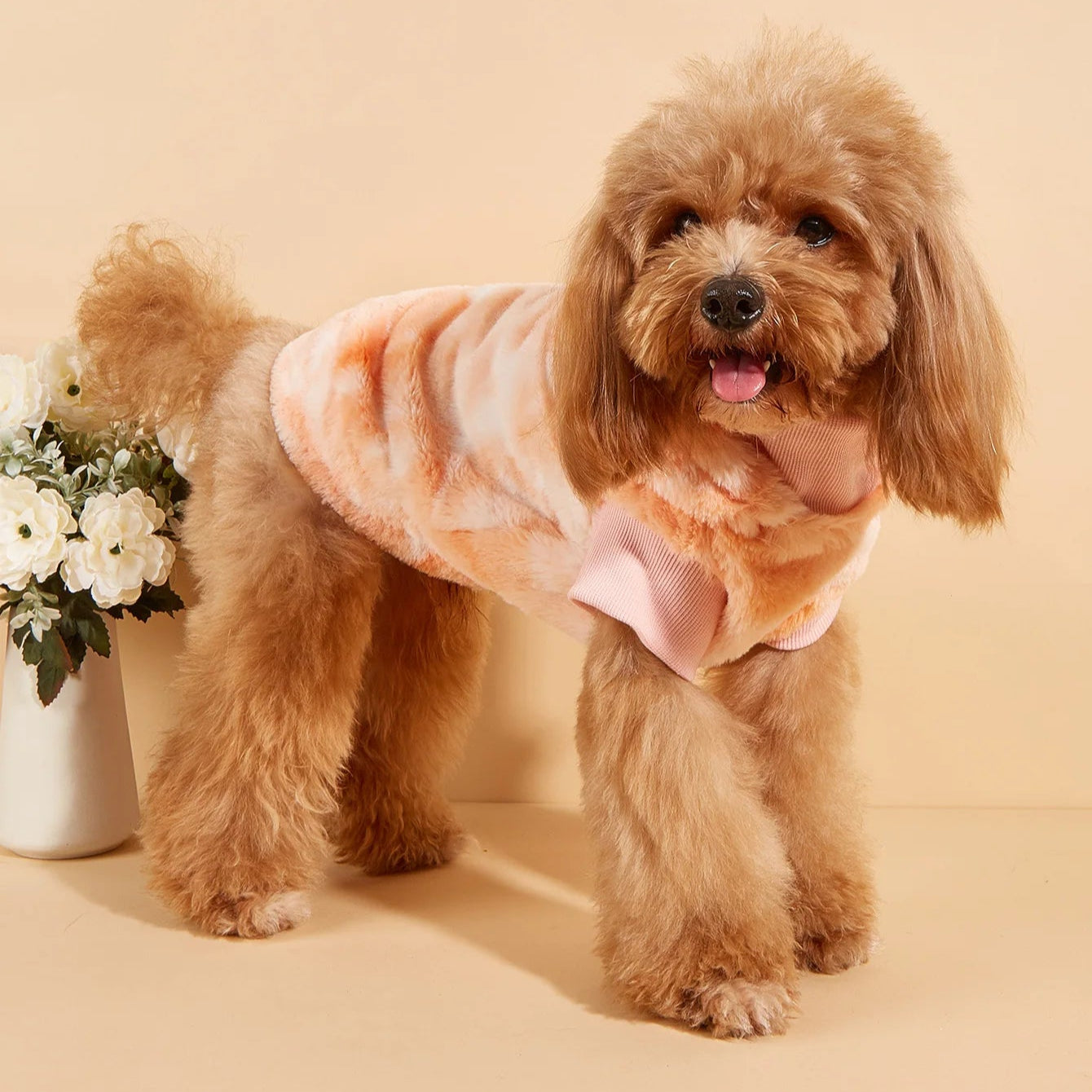 Oranje Teddy Hoodie