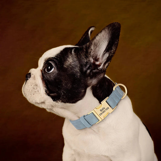 Zachte Gepersonaliseerde Halsband – Uniek en Stijlvol voor je Hond