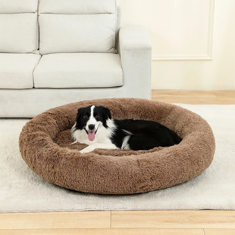 Weiches rundes Hundebett – gemütlich und bequem