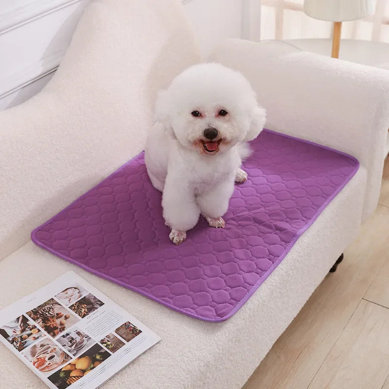 Honden Herbruikbare Zindelijkheidsmat – Duurzaam en Absorberend (Felle kleuren)