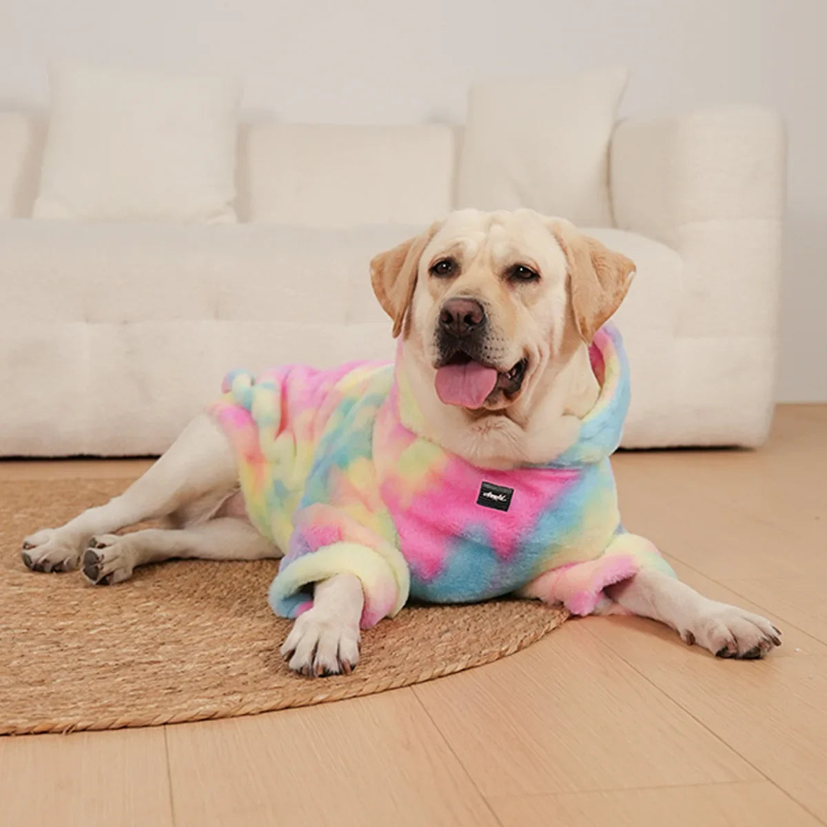 Kleurrijke Hoodie